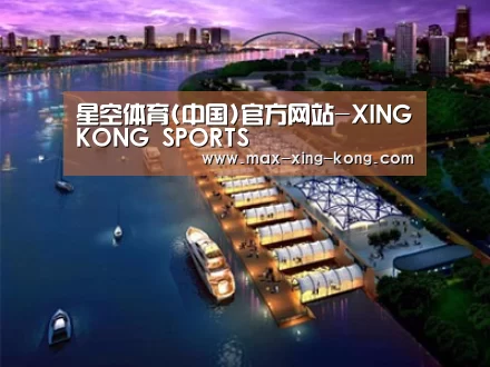 案例展示八